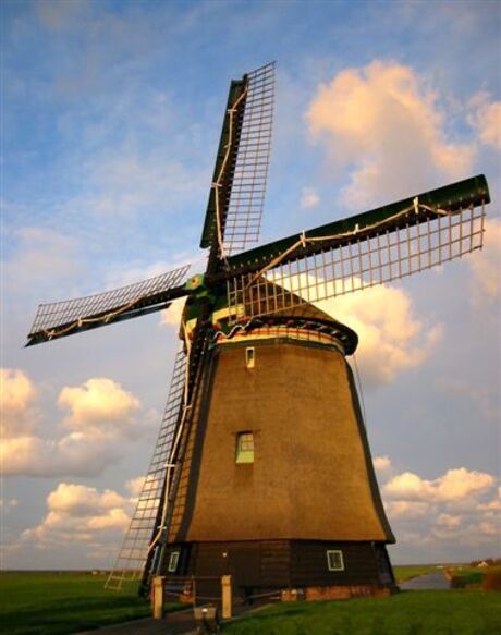 Molen in de wei