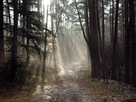 Verlichte paden