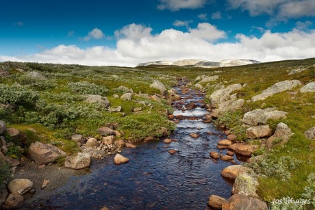 Hallingskarvet nasjonalpark - Prestholtskarvet