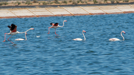 lopen over water 1