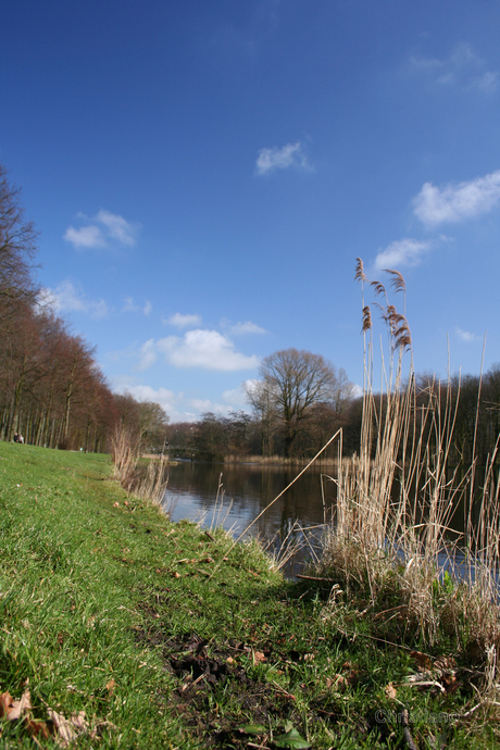 Haagse Bos