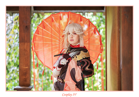 Cosplay IV
