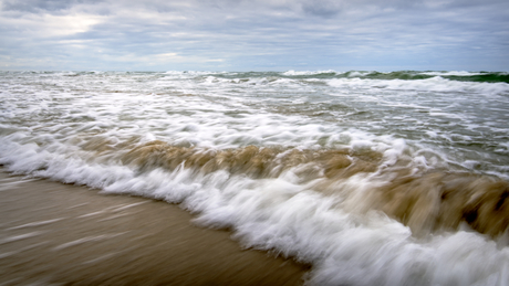 Katta dumbali gozallar bilan porno Harmonika mushuk surati