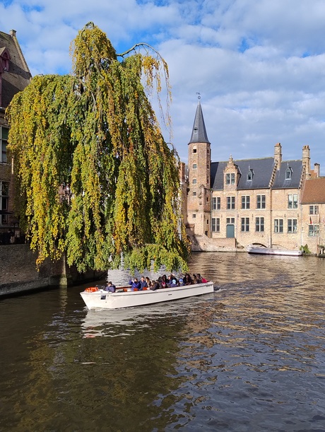 Brugge die Skone