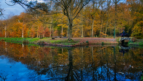 Paardrijden in het herfst bos