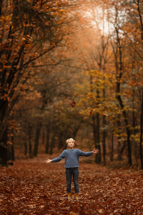 Herfst schilderij