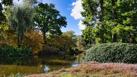 Park de Braak
