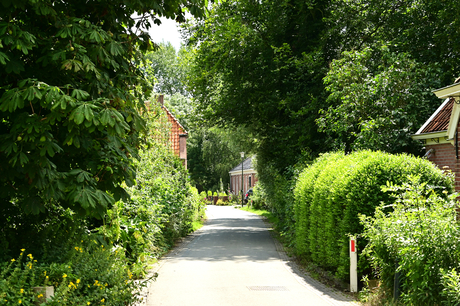 De doorgaande weg