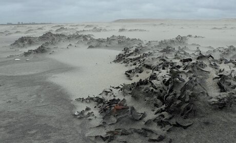 Zandstorm  Noordzee