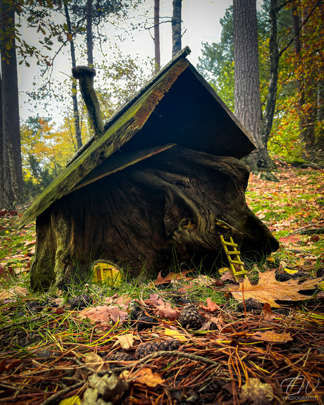 Breaking news: kabouters officieel gesignaleerd!