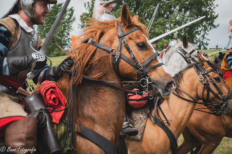 Het paard in de strijd
