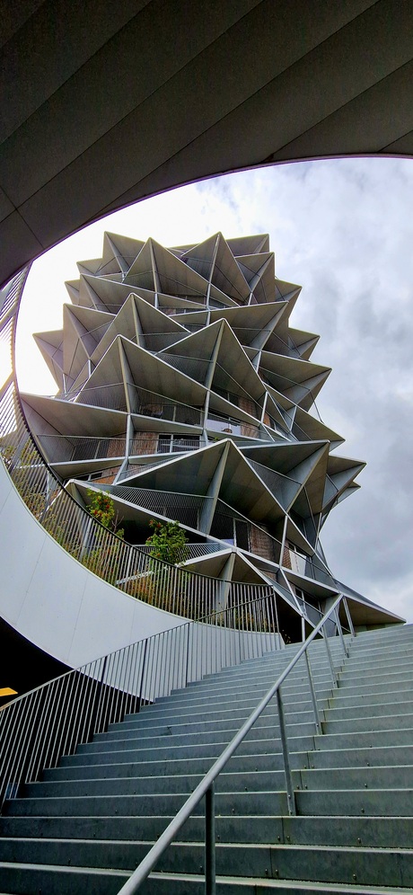 Kaktustorens in Kopenhagen 