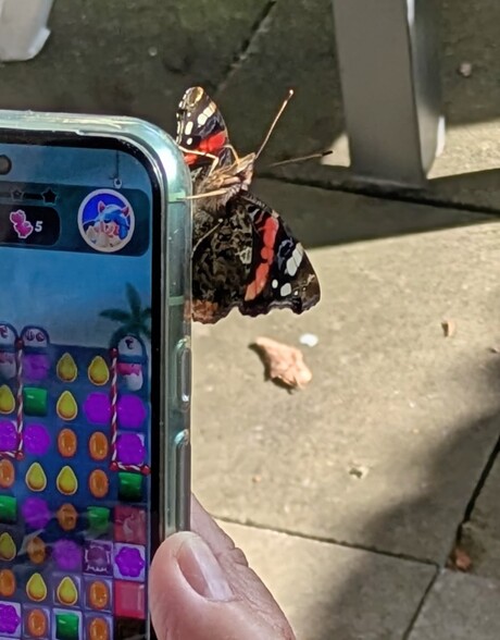 Zomaar op de telefoon van mijn vrouw 