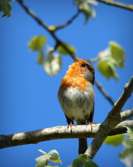 Een moment van luisteren