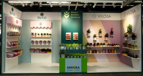 P1300756  KOM IN DE KAS  nr2   Kleurrijke  opstelling  bij Kwekerij   CV.CO   tuin nr6  