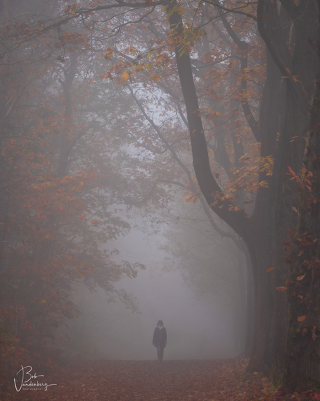 Moment van loslaten 🍂🍁