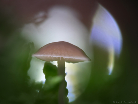 Bijzonder optisch effect