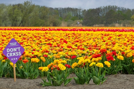 Bordjes en hekken....