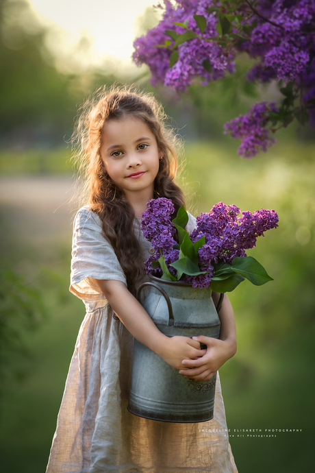 Spring arrives in whispers of lilac, painting the air with memories.