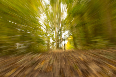 Spelen met zoomlens tussen de herfstbladeren 