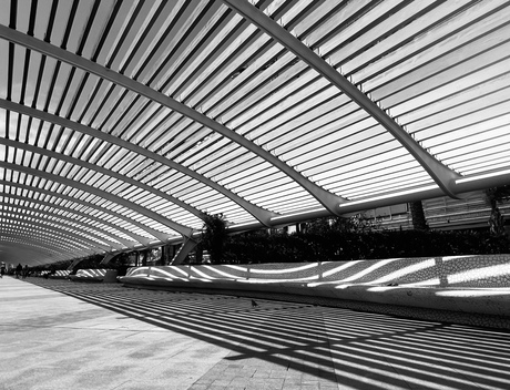 Promenade Torrevieja Spanje