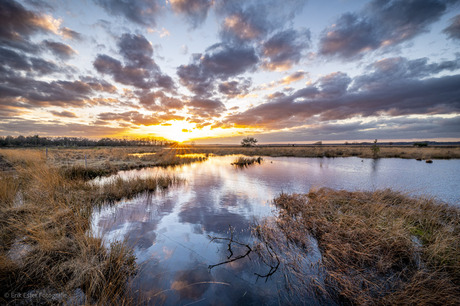 Dwingelderveld 