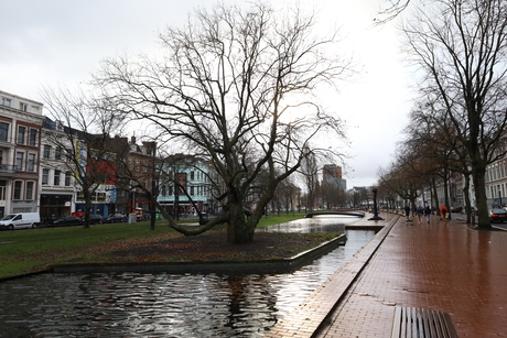 Rotterdam tussen mauritsweg en westersingel