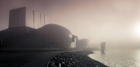 Ochtend wandeling in de mist