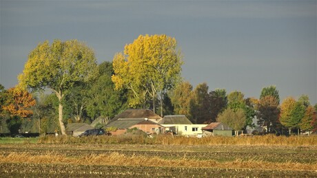 Landschap.