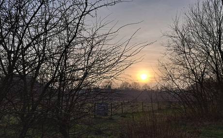 Nog net de zon gezien vandaag