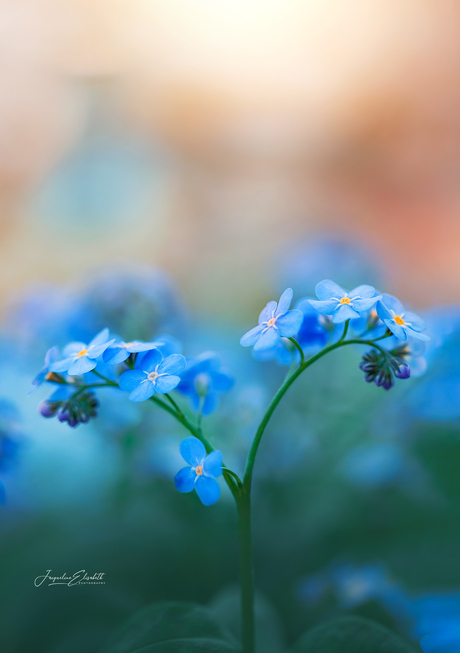 Be aware, always and at every moment, that the miracle is in the here and now.