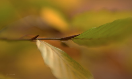 nothing more, nothing less