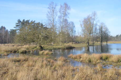 wandelgebied bij Surea te Dorst