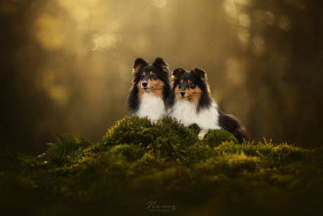 Moeder-dochter portret