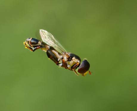 Aerodynamisch