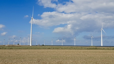 Goliath tussen de "molens"