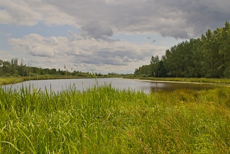 Maaspark Ooijen-Wanssum in de buurt van Blitterswijck