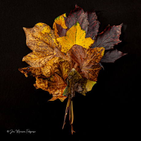 Het begin van de herfst.