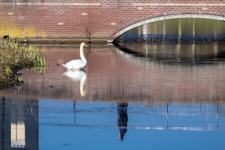 De ontmoeting die er niet kwam