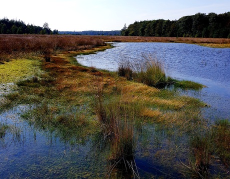 Natuur