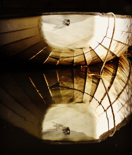 Reflectie