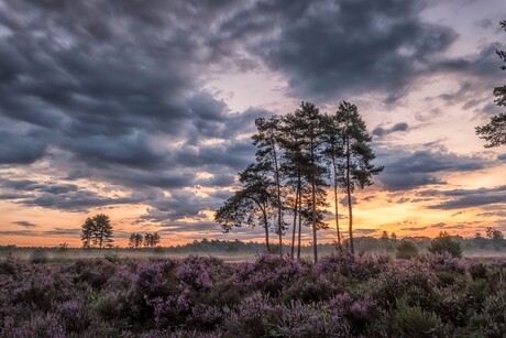 Zonsopkomst met een vleugje nevel...