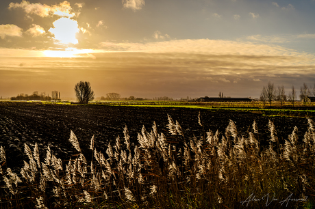 polderland