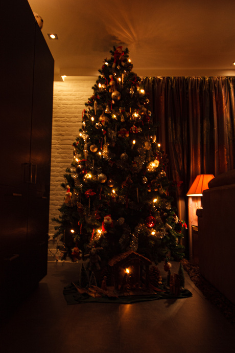 kerstboom bij ouders