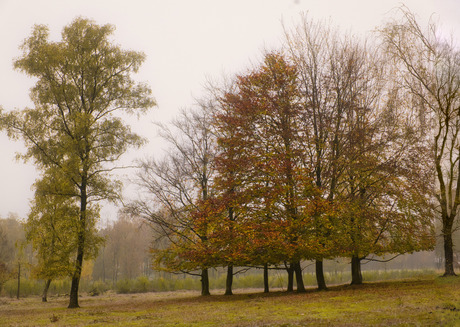 Herfst 