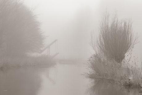 "Met mist gaat de vorst in de kist"