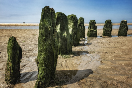 Strand Renesse