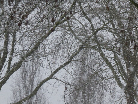 De derde dag sneeuw 2