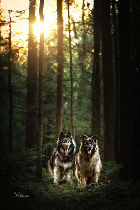 Zarah & Lexi