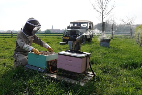 Imker druk bezig met zijn hobby